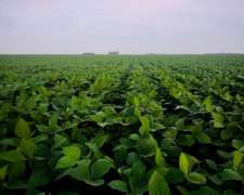 2200 Has en los Pirpintos Santiago