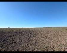 Campo en Venta Poblet