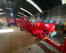 Maicero Mainero 2008 De 13 A 52 Excelente