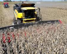 Cabezal Maicero cm 2020 de 20 Surc a 52 con Embocador, con P