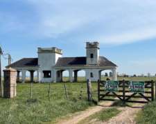 Importante Campo en Venta San Vicente