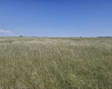 Veronica, Punta Indio, Buenos Aires - 1.327 Ha