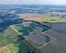 105 Has en Venta - Pcia del Chaco, Campo Largo