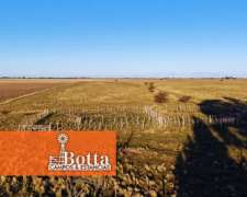 Campo En Venta, 180has Ganaderas - Gral San Martin La Pampa