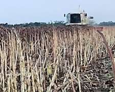 Claas 370 Piersanti de 30 Pies