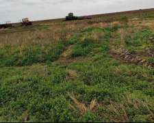 Campo Mixto SGO del Estero Sobre 34