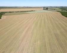 25 Hectáreas Agrícolas, Talita - Larroque, Gualeguaychú