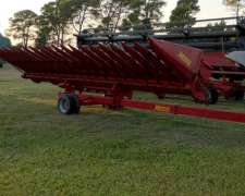 Girasolero Maizco de 10 a 70. año 1998.