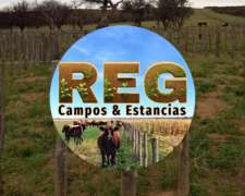 1500 Has - Anchorena