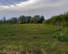 Campo Ganadero en Rauch