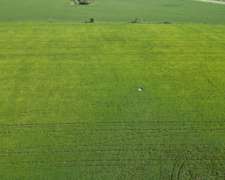 Venta 90 Has Berrotaran