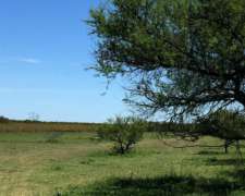 Islas del Ibicuy, Entra Ríos - 730 Ha