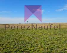 Venta Pila 600 Ha Mixtas