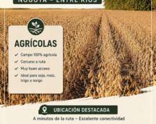73 Has Agricolas Nogoya