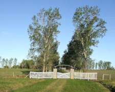 Alcaraz, Entre Rios - 1.170 Ha