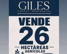 Campo Agrícola 26 Has San Pedro