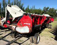 Maicero Premium 14 a 52 año 2018