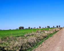 Venden 133 Ha Colonia Bigand