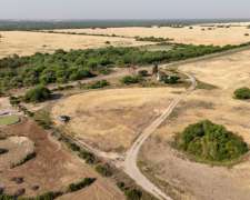 Campo Mixto. Tostado, Santa FE. 424 Hectáreas.