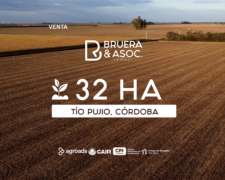 Campo 32 Hectáreas - TÍO Pujio, Córdoba
