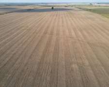 220 Hectáreas Campo Agrícola En Gualeguaychú.