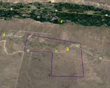 Cuy- 5900 Ha- Río Negro