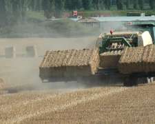 Carro Acumulador de Alfalfa Marca Parkland Modelo 455