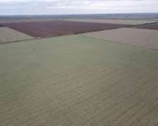 20 Has Agrícolas en Santa Clara de BV.