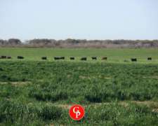 En Venta,4.400 Has, Fortuna -san Luis -