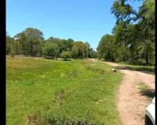150ha Sobre Ruta 6 en San Bernardo, Chaco