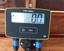 Balanza Electrónica para Pesaje de Hacienda