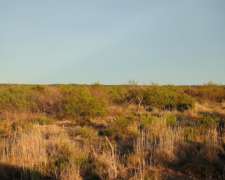 2500 Has. Lihuel Calel – la Pampa