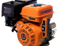 Motor Naftero 15 HP Arranque Eléctrico (lusqtoff)