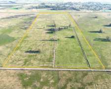 100 Has. Campo en las Heras