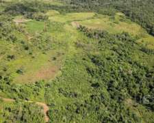 Chacra en Santo Pipo, 44 Ha Forestación, Yerba y Monte