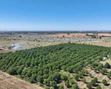 Pcia. de Buenos Aires - General Rodriguez 62 Has