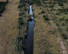 Se Vende Campo Ganadero Sobre Autovia 36, Almafuerte