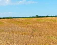 90 Has Mixtas Don Cristobal