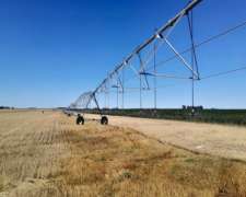 270 Ha Pigue Con Pivot Riego