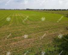 Campo Mixto en Venta de 820 Has en Ranchos