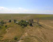 2.228 Has Arrendamiento Ganadero en Pje. San Salvador Corrie