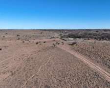 Pcia. de San Luis - Union 4300 Has