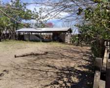 Arrendo Campo Apto Ganadería en Corrientes.