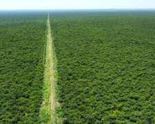 Campo Ganadero en Santiago del Estero