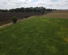 Campo En Venta De 77 Has En Villanueva