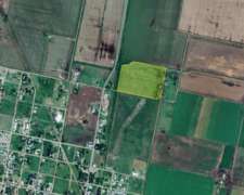 Campo Agricola 6 Has En Nelson