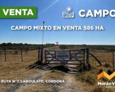 586 Ha Mixtas en Laboulaye