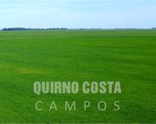 Campo Necochea 258 Ha Mayormente Agricola. Cerca Pto Quequen