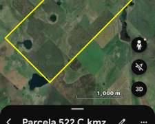 Alquilo Campo de 340has. en Olavarria. Zona Santa Luisa