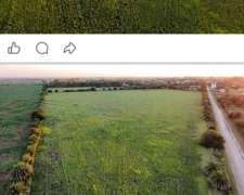 Venta/ Permuta Campo Zona Centeno